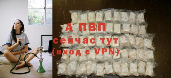 гидропоника Белокуриха