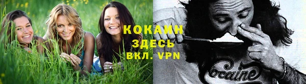 гидропоника Белокуриха