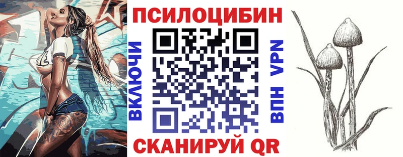 Купить  Алдан  Галлюциногенные грибы MAGIC MUSHROOMS 